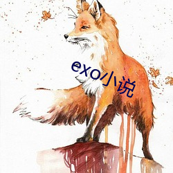 exo小说