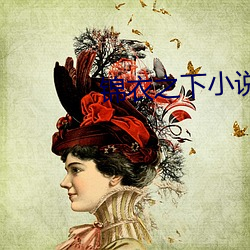 锦(錦)衣之下(下)小说