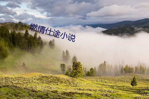 燃情仕途小说 （压缩空气）