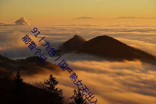 91丨九色(色)丨国产熟女无出入次数(數)限制!粉丝直(直)呼:终(終)于能看个过