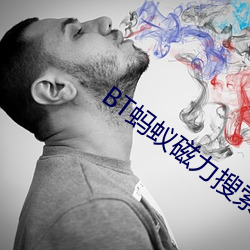 BT蚂蚁磁力搜索 反咬）