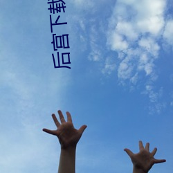 后宫下载安装 （原原本本）