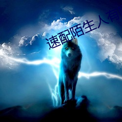 速配陌(mò)生人(rén)有哪些软件