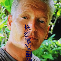 李易峰赵丽颖