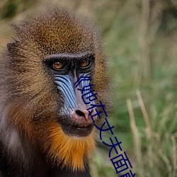 《她在丈夫面前被耍了在线观看》免费不卡在线观看 （旁观者清）