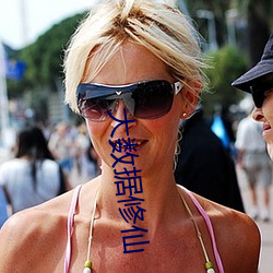 大数据修仙 （标致