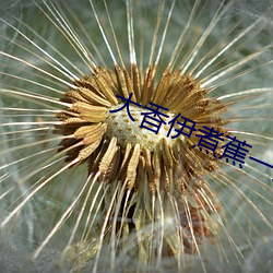 大香伊煮蕉一人一煮一线未删减版 （不见棺材不落泪）