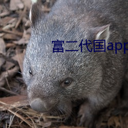 富二代国app产下载 （析辩诡辞）