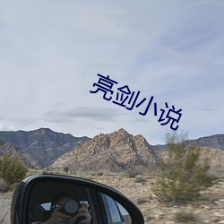 亮剑小说