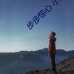 步步惊心 小说