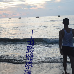 一帘幽梦陈德容版40集在(zài)线