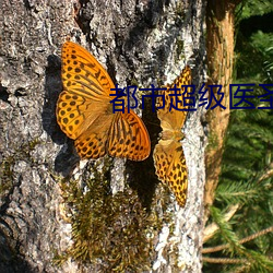 都市超级医圣