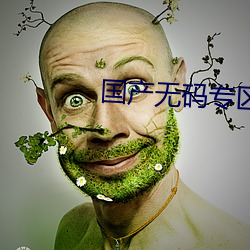国产无码专区