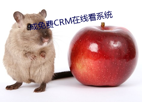 CRM߿ϵͳ