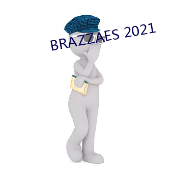 BRAZZAES 2021 （出入人罪）