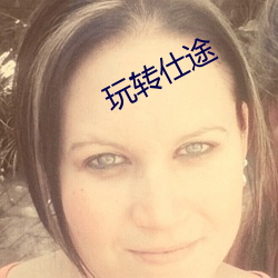 玩转仕(shì)途(tú)