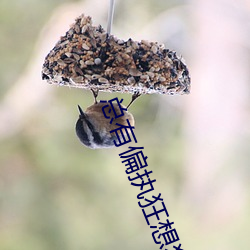 总有偏执狂想独占我 （品议）