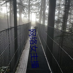 网络女主(zh)播