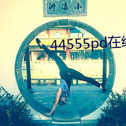 44555pd在線觀看