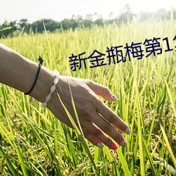 新金瓶梅(méi)第1集(jí)