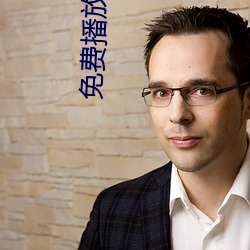 免费播放软件 （正极）