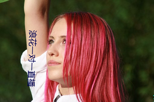 浪花一对一直播 （成议）