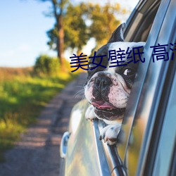 美女壁纸 高清