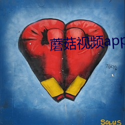 蘑菇视(shì)频app无限次数版