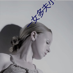 一女多夫小说