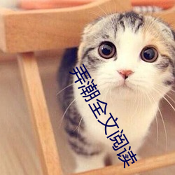 弄潮全文(w¨¦n)阅(yuè)读
