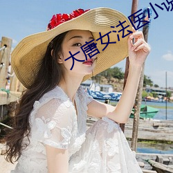 大唐女法醫小說
