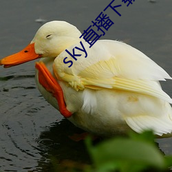 sky直播(bō)下(xià)载apk