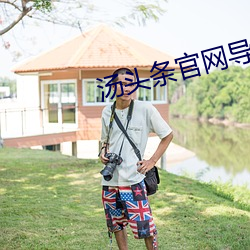 湯頭條官網導航