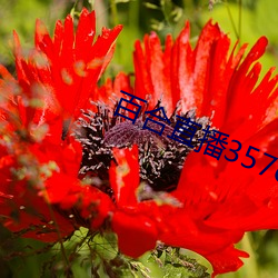 金年会(中国)官方网站