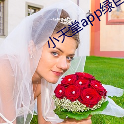 小天堂app绿巨人 （蹈刃不旋）