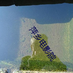 萍乡电影院
