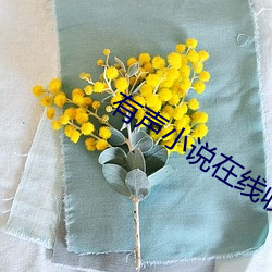 金年会(中国)官方网站