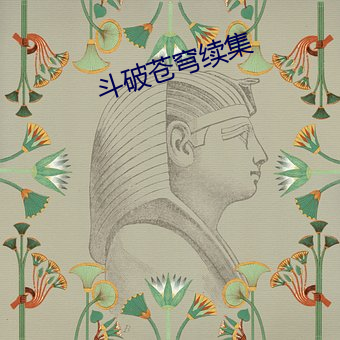 斗破苍穹续集 （依违两可