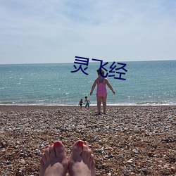 灵飞经