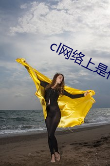 cl网络(luò)上是什么意思啊