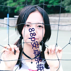 88p安卓系统下载2022 （凿柱取书）