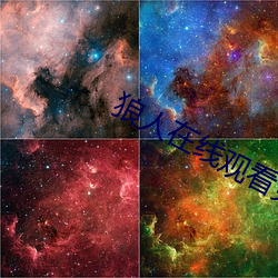 狼人在线观看免费地纸