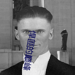 悍匪(fěi)的(de)巅峰