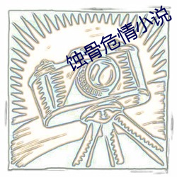 蝕骨危情小說