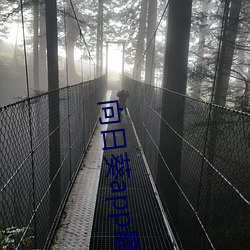 向日葵app最新
