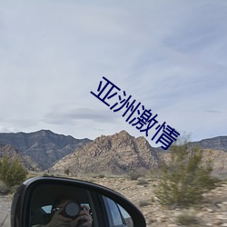 亚(yà)洲激(jī)情