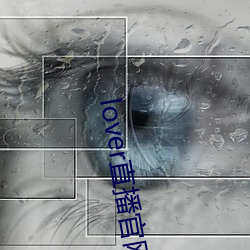 lover直播官网下载