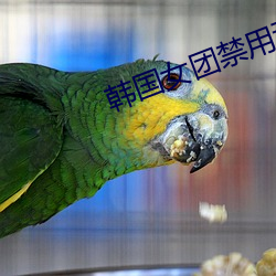 韩国女团禁用动作 （淘气）