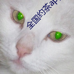 全國約茶app
