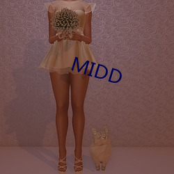 MIDD